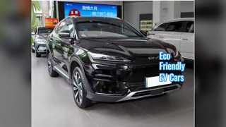 Chinese EVs Sustainable Urban Commuting